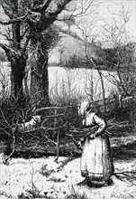 An old woman collecting firewood from a hedgerow