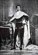 Photographic portrait of Ludwig II of Bavaria