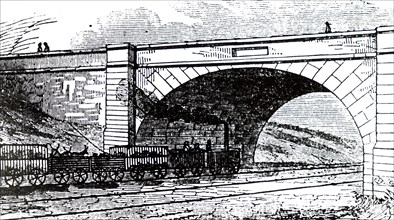 Cattle train on the Liverpool and Manchester Railway