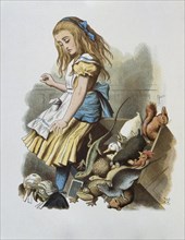 Illustration by Tenniel, from the 1890 edition of 'Alice in Wonderland' by Lewis Carroll