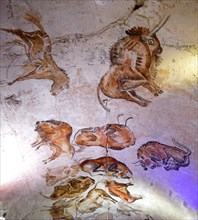 Cave painting found in the Cave of Altamira, located in Cantabria, Spain, dating from the Upper Paleolithic period