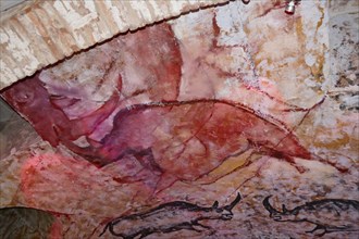 Cave painting found in the Cave of Altamira, located in Cantabria, Spain, dating from the Upper Paleolithic period