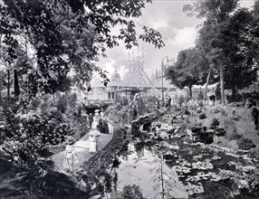 Photograph of the exhibition of abated plants