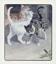 The book of the cat with facsimiles of drawings in colour. By Elisabeth Fearne Bonsall