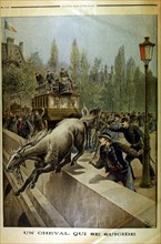 Paris, a horse commits suicide
