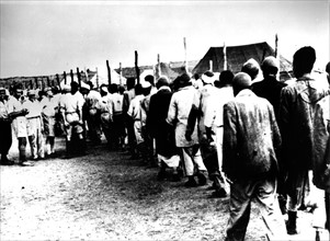 Israël le 4 décembre 1948, des prisonniers arabes dans un camp israélien