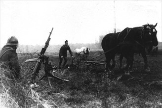 France, derrière le front français, travaux des champs à proximité des lignes et des ouvrages de la ligne Maginot, mai 1940