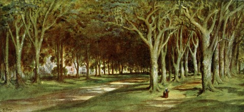 Gustave Doré, Paysage