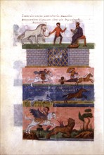 Manuscrit grec, histoire d'Alexandre par le poète grec Oppien, Alexandre et son cheval Bucéphale