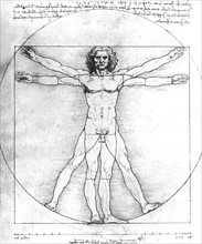 Léonard de Vinci, proportions de l'homme