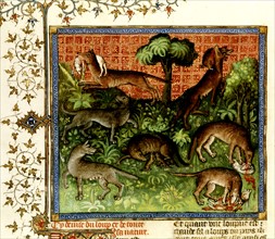 The Hunting Book of Gaston Phoebus, wolves
