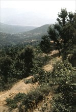 Algeria, Soummam Valley (surroundings of Ighzri)