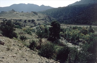 Algérie, les Aurès, gorges de Tighanimine