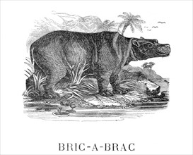 Dumas, "Bric-à-Brac"