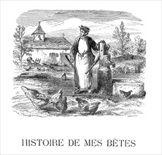 Dumas, "Histoire de mes bêtes"