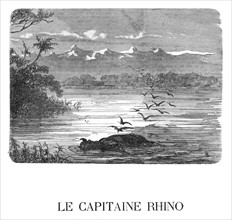 Dumas, 'Le capitaine Rhino'