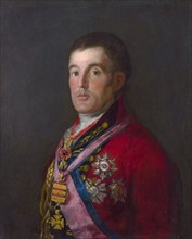 Goya, The Duke of Wellington (1769-1852)