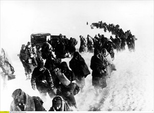 Front de l'Est, Stalingrad , 1943