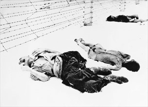 Camp de concentration d'Auschwitz-Birkenau, 1945