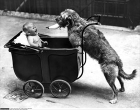 Baby and dog, 1932