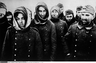 German soldiers made prisoners in Stalingrad, 1943