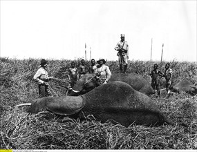 Chasseurs de gros gibier en Afrique de l'Est, 1900