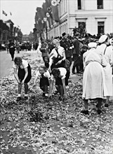 Tapis de fleurs pour Hitler à Berlin
