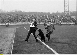 Platzordner mit einem Wachhund verjagt einen Fussballfan vom Spielfeld des Niederrheinstadions Oberhausen vor dem Spiel Rot-Weiss Oberhausen gegen Borussia Moenchengladbach, Bundesliga, Saison 1969/19...