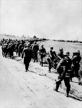 Pays-Bas : soldats allemands avançant sur la ligne Peel-Raam-Stelling