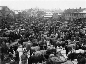 1. Weltkrieg, Russisch Polen: Wochenmarkt in Lida