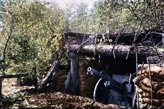 Première Guerre Mondiale. Septembre 1916.
Un canon de 75 français camouflé sous les arbres,