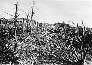 Bataille de Verdun, 1916
