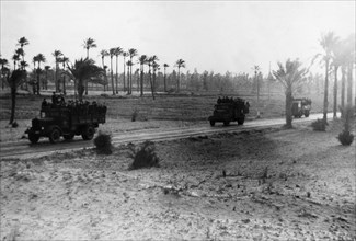 2.WW, North africa, war theater (Africa campaign) , german africa corps Feb.41-May43:
First offensive of Rommel: Military advance - lorries on the road. April 1941