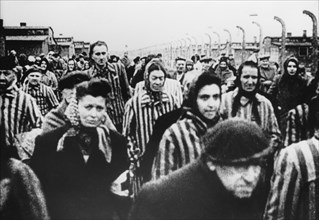 Libération du camp d'Auschwitz, janvier 1945