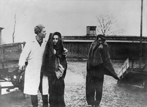 Libération du camp d'Auschwitz, janvier 1945