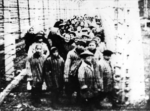 Survivants du camp d'Auschwitz, 1945