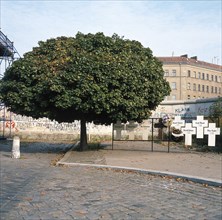 Vue du Mur de Berlin, 1985