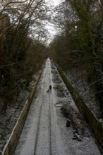 Illustrations Paris neige et soleil exposition