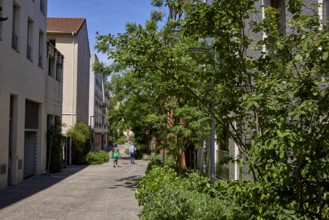 Végétalisation à Saint-Denis