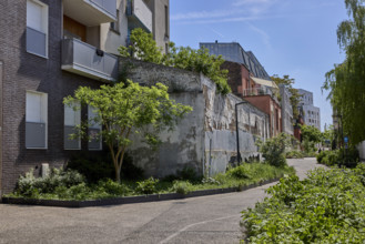Végétalisation à Saint-Denis