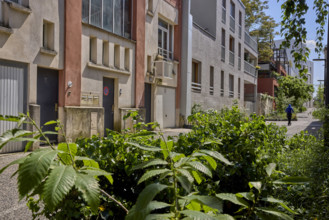 Végétalisation à Saint-Denis