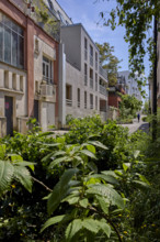 Végétalisation à Saint-Denis