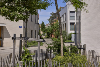 Végétalisation à Saint-Denis