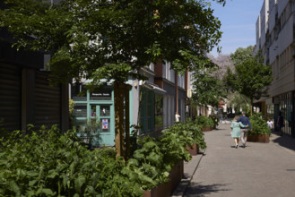 Végétalisation à Saint-Denis