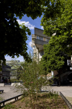 Végétalisation à Saint-Denis