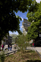 Végétalisation à Saint-Denis