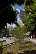 Végétalisation à Saint-Denis