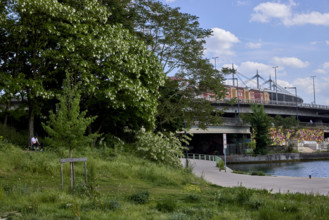 Végétalisation à Saint-Denis