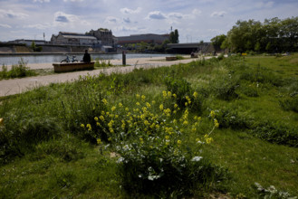 Végétalisation à Saint-Denis