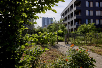 Végétalisation à Saint-Denis